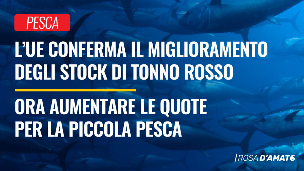 tonno rosso